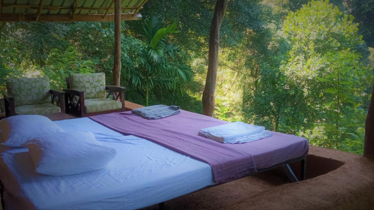 Chalet In The Jungle Pallegama Exterior foto